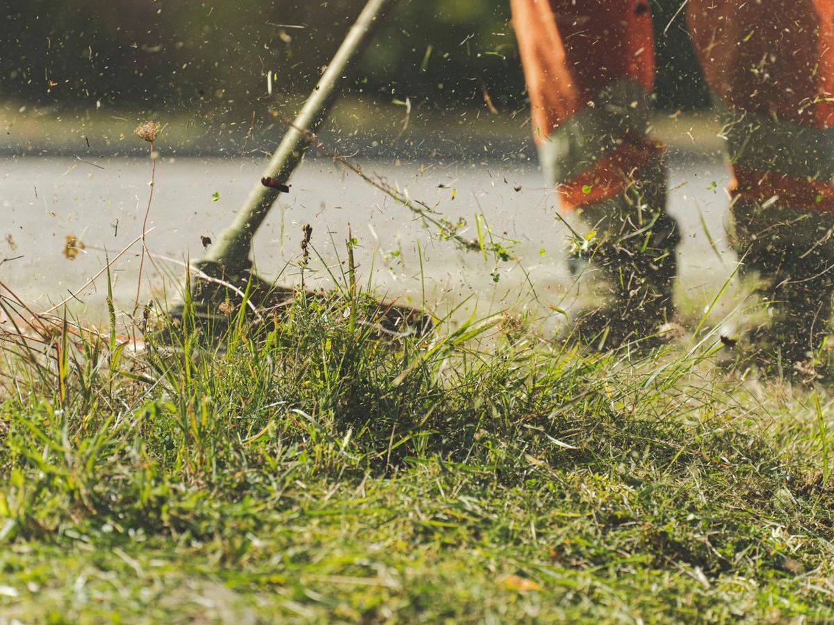 Débroussaillage d'herbes hautes à la débroussailleuse